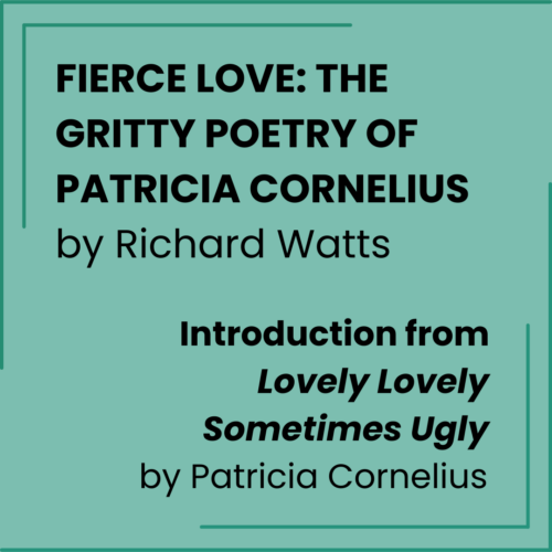 Lovely Lovely Sometimes Ugly_Introduction